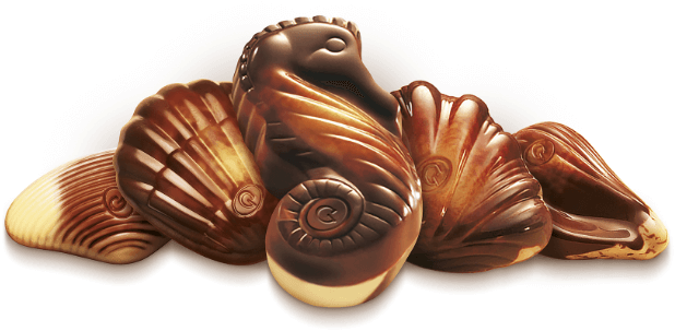 The-Original-Sea-Shells